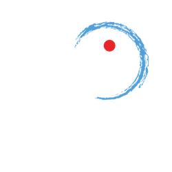 Netplay logo